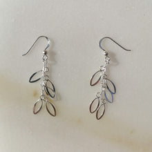 Load image into Gallery viewer, Sterling Silver Drop Earring
